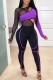 Purple Sexy Casual Patchwork See-through Contrast O Neck Long Sleeve Two Pieces