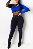Red Sexy Casual Patchwork See-through Contrast O Neck Long Sleeve Two Pieces