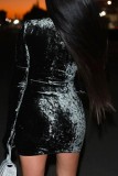Black Casual Solid Basic Turtleneck Long Sleeve Dresses