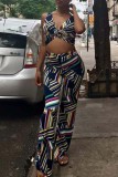 Colour Sexy Casual Print Patchwork V Neck Sleeveless Two Pieces