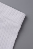 White Casual Solid Basic O Neck Long Sleeve Two Pieces