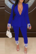 Blue Fashion Solid Tassel Turndown Collar Long Sleeve Two Pieces