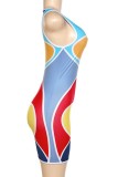 Blue Sexy Print Basic O Neck Sleeveless Dress Dresses
