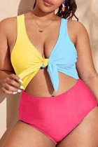 Multicolor Sexy Patchwork Hollowed Out Backless Contrast V Neck Plus Size Swimwear (With Paddings)
