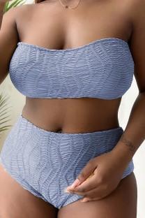 Blue Fashion Sexy Solid Backless Strapless Plus Size Swimwear (With Paddings)