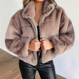 Blue Casual Solid Patchwork Zipper Collar Outerwear
