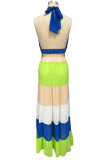 Multicolor Elegant Solid Patchwork Backless Fold Halter Straight Dresses