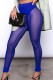 Blue Sexy Casual Solid Patchwork See-through Skinny High Waist Pencil Patchwork Trousers