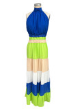Multicolor Elegant Solid Patchwork Backless Fold Halter Straight Dresses