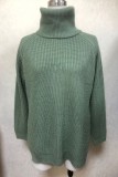 Light Green Casual Solid Basic Turtleneck Tops