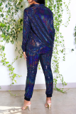 Silver Street Bronzing Patchwork Turndown Collar Long Sleeve Two Pieces