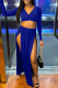 Blue Casual Solid High Opening V Neck Long Sleeve Two Pieces