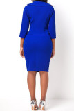 Blue Casual Elegant Solid Patchwork Zipper Zipper Collar Three Quarter Two Pieces