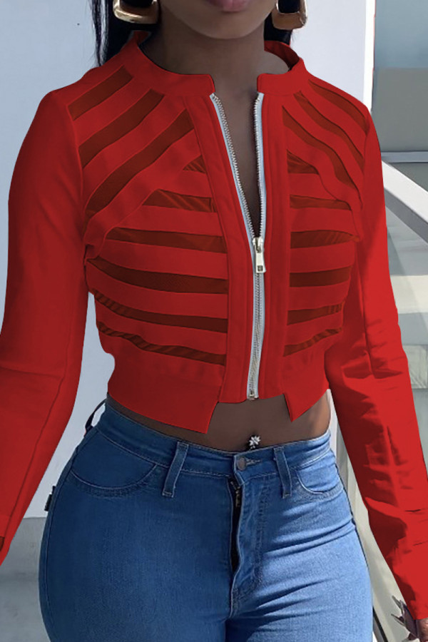 Red Casual Solid Patchwork Zipper Collar Outerwear