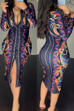 Colour Casual Print Slit V Neck Long Sleeve Dresses