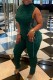 Ink Green Casual Solid Bandage Turtleneck Skinny Jumpsuits