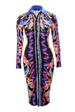 Colour Casual Print Slit V Neck Long Sleeve Dresses