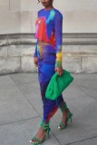 Blue Sexy Print Basic O Neck Long Sleeve Two Pieces