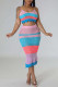 Sky Blue Sexy Hollowed Out Patchwork Spaghetti Strap Sleeveless Two Pieces