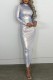 Silver Casual Solid Basic Half A Turtleneck Long Sleeve Dresses