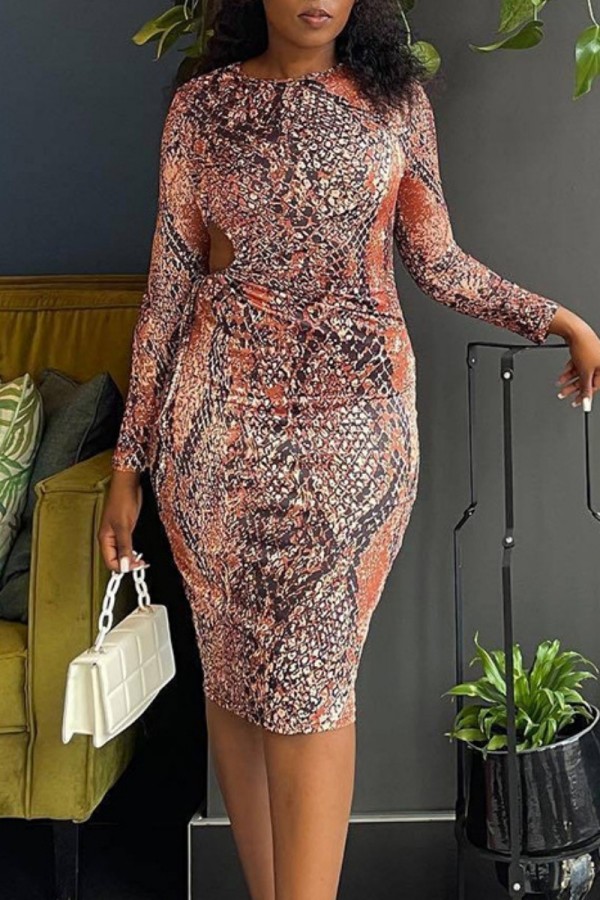 Snake Print Casual Print Hollowed Out O Neck Long Sleeve Dresses