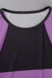 Purple Casual Patchwork Contrast O Neck Long Sleeve Two Pieces