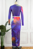 Blue Sexy Print Basic O Neck Long Sleeve Two Pieces