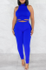 Blue Sexy Solid Patchwork Halter Sleeveless Two Pieces