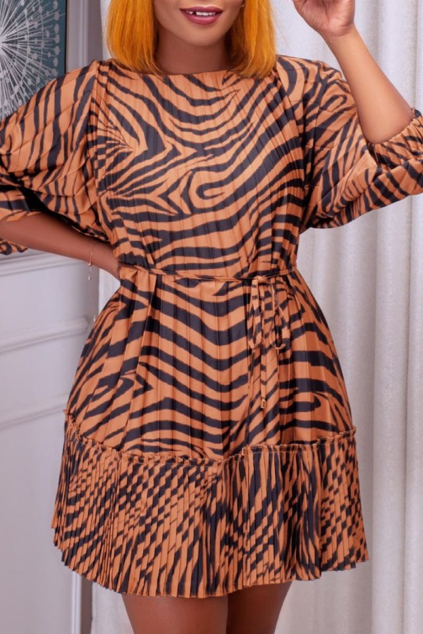 Brown Casual Print Patchwork O Neck Pleated Dresses