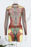 Brown Sexy Print Basic Turtleneck Long Sleeve Two Pieces