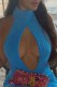 Blue Sexy Solid Hollowed Out Backless Turtleneck Sleeveless Dress Dresses