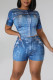 Blue Casual Street Print Patchwork O Neck Long Sleeve Two Pieces