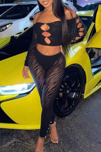 Black Sexy Patchwork Hollowed Out See-through Off the Shoulder Long Sleeve Two Pieces