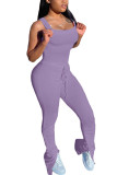 purple Fashion Sexy Solid Sleeveless Slip Jumpsuits