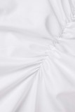 White Sexy Casual Solid Basic Turtleneck Long Sleeve Two Pieces