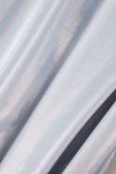Silver Casual Solid Basic Half A Turtleneck Long Sleeve Dresses