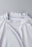 Silver Casual Solid Basic Half A Turtleneck Long Sleeve Dresses