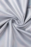Silver Casual Solid Basic Half A Turtleneck Long Sleeve Dresses