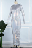 Silver Casual Solid Basic Half A Turtleneck Long Sleeve Dresses