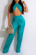 Lake Blue Sexy Solid Patchwork Fold Without Belt Halter Sleeveless Two Pieces