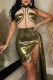 Gold Sexy Patchwork See-through Slit Turtleneck Sleeveless Dress Dresses