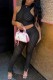Black Sexy Casual Striped See-through Half A Turtleneck Sleeveless Two Pieces