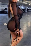 Black Sexy Solid See-through V Neck Long Sleeve Dresses