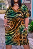 Multicolor Casual Print Patchwork Basic V Neck Short Sleeve Dress