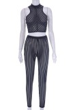 Black Sexy Casual Striped See-through Half A Turtleneck Sleeveless Two Pieces