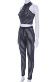 Black Sexy Casual Striped See-through Half A Turtleneck Sleeveless Two Pieces