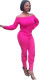 Pink Sexy Two Piece Suits Solid pencil Long Sleeve