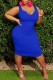 Blue Casual Solid Basic V Neck Vest Dress Dresses
