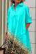 Lake Blue Casual Print Patchwork Buckle Turndown Collar Dresses