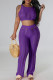 Purple Sexy Solid Hollowed Out Patchwork O Neck Sleeveless Two Pieces